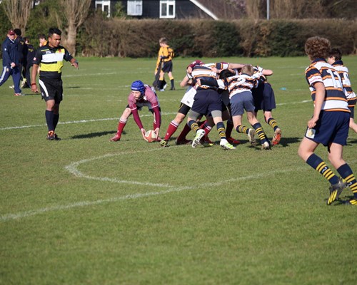 U13 Rosslyn Park 7s 2016